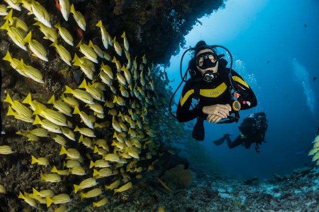A diver beside a reef wall full of fish
